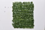 Green Trellis Variegated Leaves (120cm x 270m)