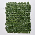 Green Trellis Variegated Leaves (120cm x 270m)