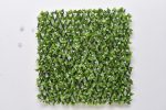 Vibrant Green Trellis With White Flowers (120cm x 270cm)