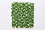Lush Green Trellis With Dense Foliage (120cm x 270cm)