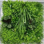 Lush Living Wall Vertical Garden Oasis 100cm×100cm
